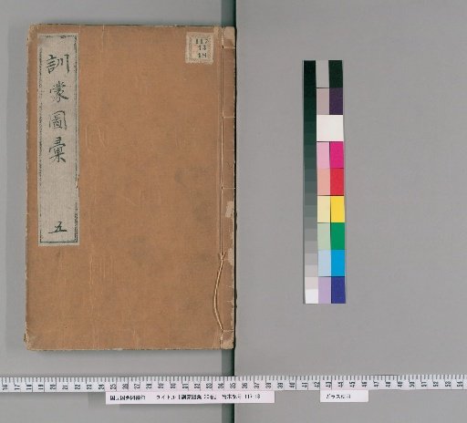 Illustrated Dictionary for Children, 20 Volumes [5]