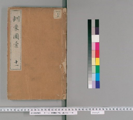 Illustrated Dictionary for Children, 20 Volumes [11]
