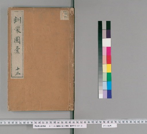 Illustrated Dictionary for Children, 20 Volumes [13]