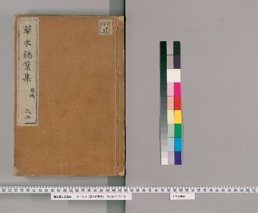 Collection of Variegated Leaves of Plants and Trees, Preliminary Volume 1, First Part 3, Second Part 3 volumes [2]