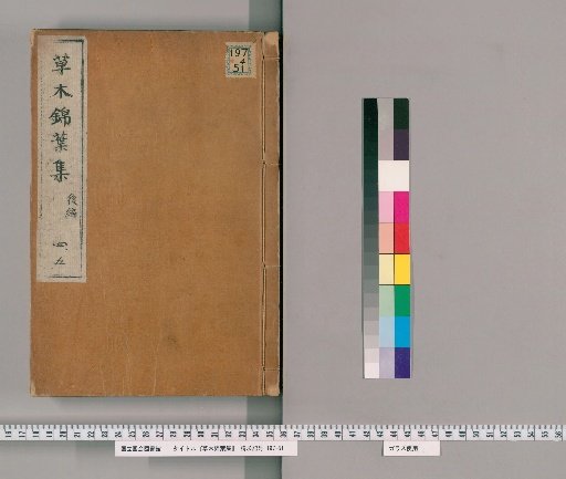 Collection of Variegated Leaves of Plants and Trees, Preliminary Volume 1, First Part 3, Second Part 3 volumes [3]