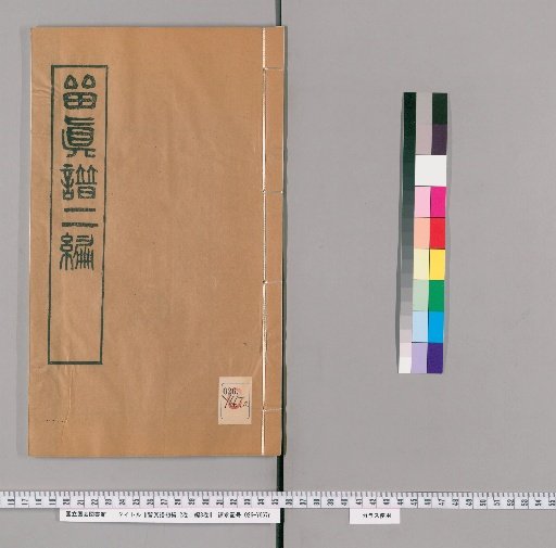 Illustrated Genealogy, First Edition Vol. 12, Second Edition Vol. 8 [19]