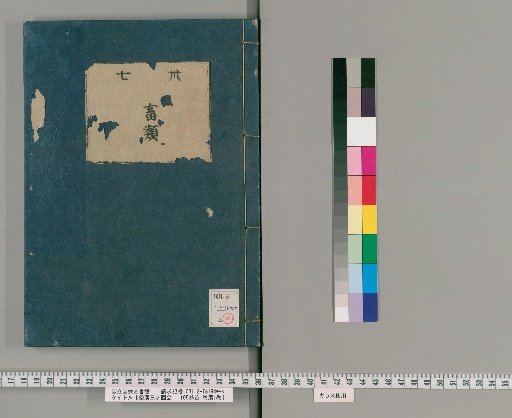 Wakan Sansai Zue: 105 Volumes, 1 Volume of Preface, 1 Volume of Appendix [25]
