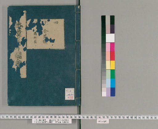 Wakan Sansai Zue: 105 Volumes, 1 Volume of Preface, 1 Volume of Appendix [33]