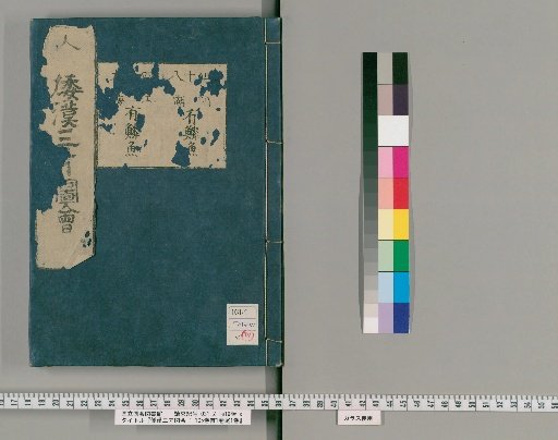 Wakan Sansai Zue: 105 Volumes, 1 Volume of Preface, 1 Volume of Appendix [34]