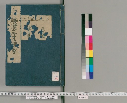 Wakan Sansai Zue: 105 Volumes, 1 Volume of Preface, 1 Volume of Appendix [37]