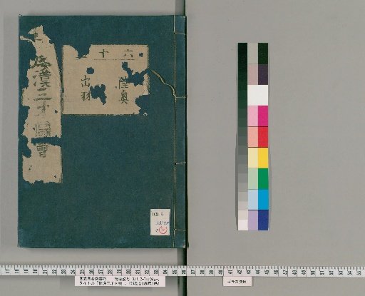 Wakan Sansai Zue: 105 Volumes, 1 Volume of Preface, 1 Volume of Appendix [46]