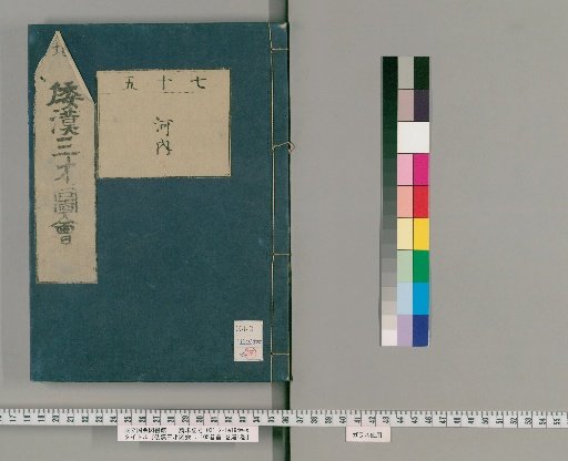 Wakan Sansai Zue: 105 Volumes, 1 Volume of Preface, 1 Volume of Appendix [57]