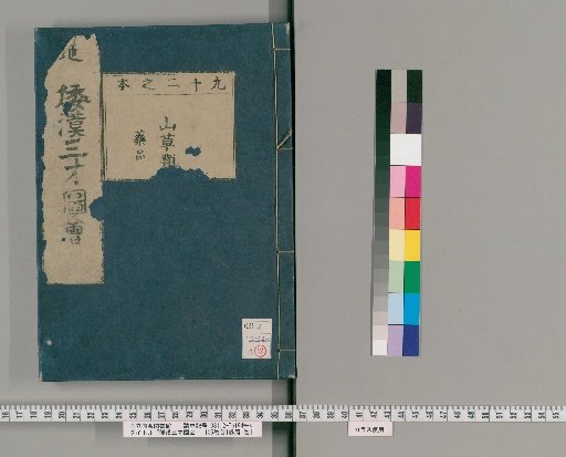 Wakan Sansai Zue: 105 Volumes, 1 Volume of Preface, 1 Volume of Appendix [69]