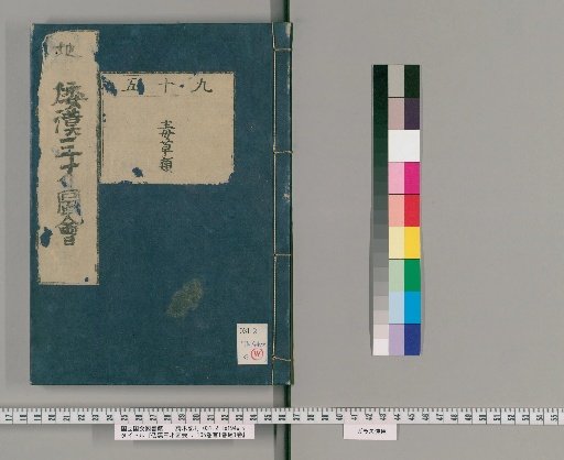 Wakan Sansai Zue: 105 Volumes, 1 Volume of Preface, 1 Volume of Appendix [74]