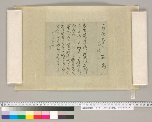 [Letters of Aizawa Seishisai] [29]
