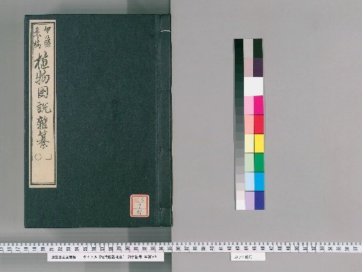 Illustrated Compendium of Plants [91]
