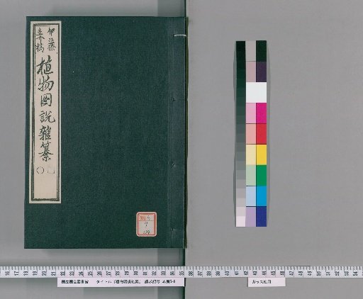 Illustrated Compendium of Plants [134]