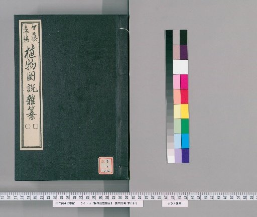 Illustrated Compendium of Plants [136]