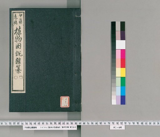 Illustrated Compendium of Plants [145]