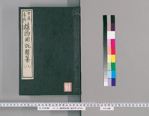 Illustrated Compendium of Plants [147]