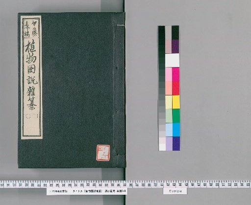 Illustrated Compendium of Plants [155]