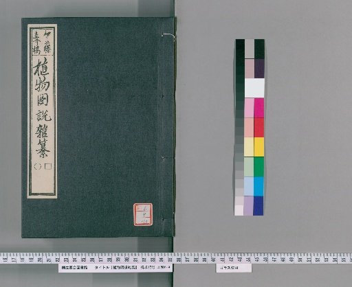 Illustrated Compendium of Plants [160]