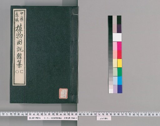 Illustrated Compendium of Plants [161]