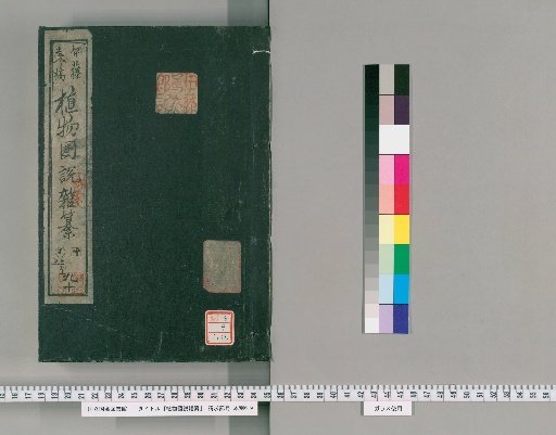 Illustrated Compendium of Plants [171]