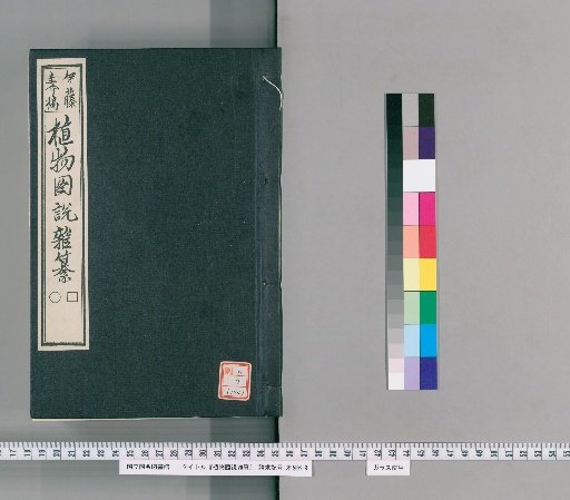 Illustrated Compendium of Plants [174]