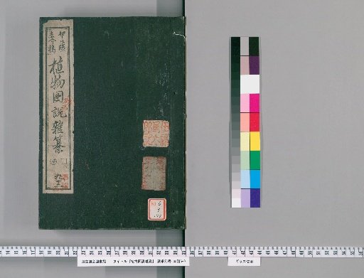 Illustrated Compendium of Plants [175]