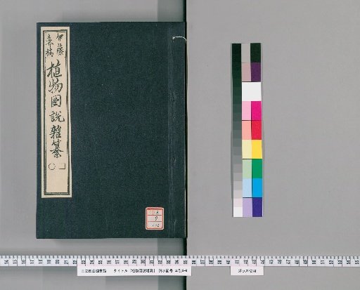 Illustrated Compendium of Plants [176]