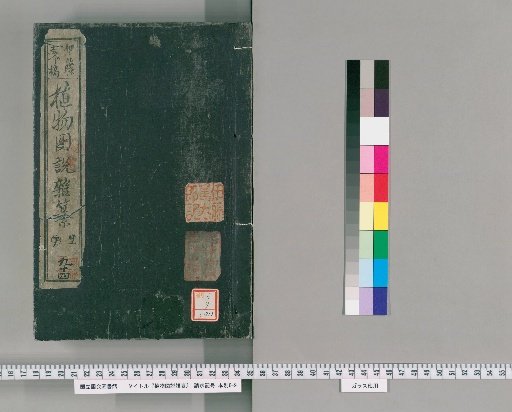 Illustrated Compendium of Plants [181]