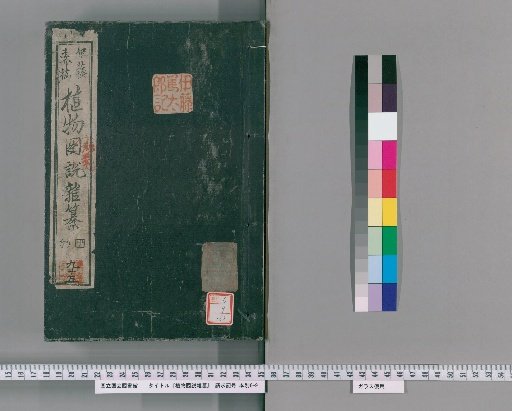 Illustrated Compendium of Plants [185]