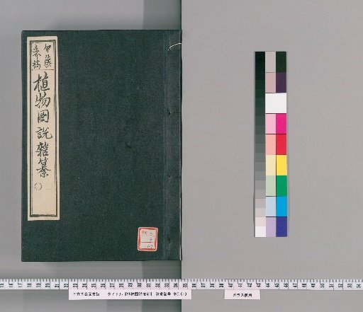 Illustrated Compendium of Plants [187]