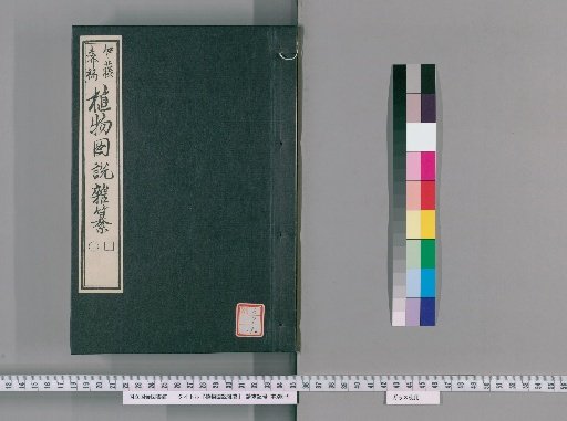 Illustrated Compendium of Plants [192]