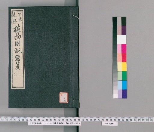 Illustrated Compendium of Plants [193]