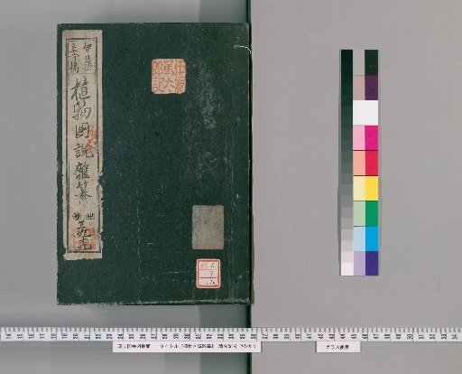Illustrated Compendium of Plants [194]