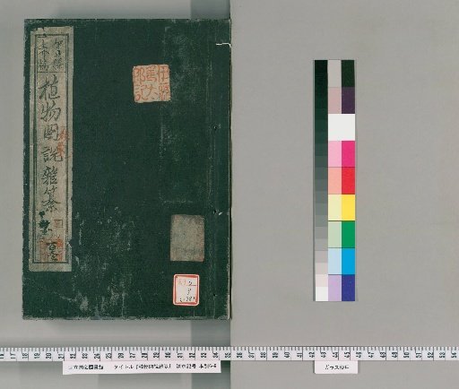 Illustrated Compendium of Plants [198]
