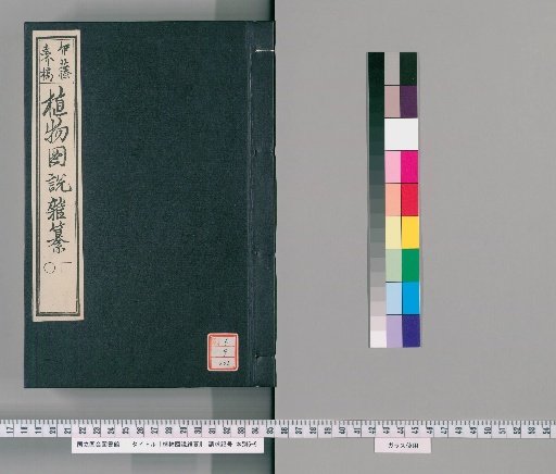 Illustrated Compendium of Plants [205]