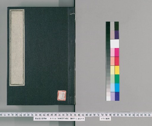 Illustrated Compendium of Plants [217]