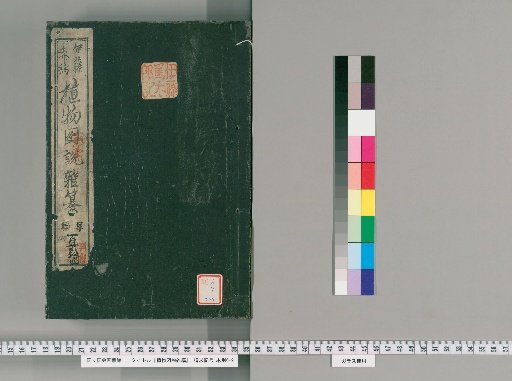 Miscellaneous Illustrated Treatise on Plants [239]
