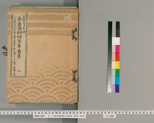 Records of Routes and Other Historical Changes within the Capital, Volume 8