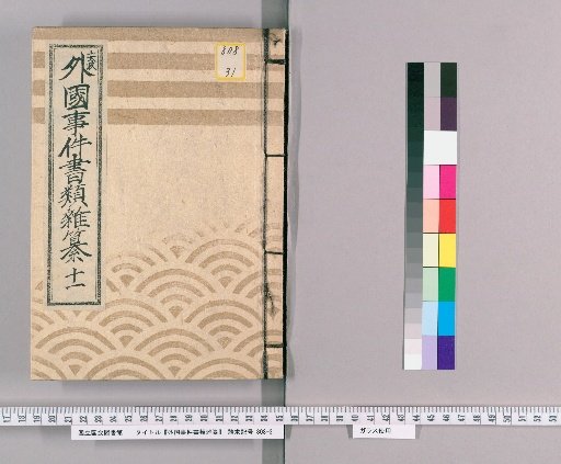 Miscellaneous Documents on Foreign Incidents [11]