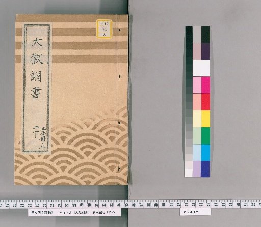 General Pardon Register [48] 20: One-Third Volume 3: (Copy of the Tōei-san General Pardon Register, 1828); Excerpt from the Tōei-san General Pardon Register, 1828; Standard Form for General Pardon Registers, 1828; Regarding the Punishment of a Gambling Case
