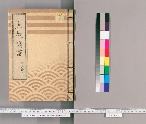 General Pardon Records [225] Part 1 (Copy of Tōei-san General Pardon Register for the 3rd Memorial Service of Lady Bunkyō-in, 1843)