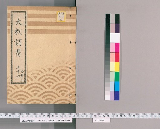 Record of General Pardon [157] Volume 56, Part 2 Copy of the General Pardon Register for the One-Year Memorial Service for Saijuin-sama at Tōei-san (Bunsei 11), Example of the General Pardon Register for Memorial Services for Saijuin-sama and Kōkyōin-sama (Bunsei 11), Example of the Inquiry Register for the One Anniversary Memorial Service for Saijuin-sama and the Fifty Anniversary Memorial Service for Kōkyōin-sama (Bunsei 11), Case of Gambling Punished with Restrictions Regarding the One Anniversary Memorial Service for Saijuin-sama (Bunsei 11), Example of Exemption from Punishment for Gambling Regarding the One Anniversary Memorial Service for Saijuin-sama and the Fifty Anniversary Memorial Service for Kōkyōin-sama (Bunsei 11)