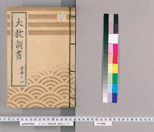 Record of General Pardon [161] Part 1 (Investigation Regarding the General Pardon for the Celebration of the Lord's Transfer of Office, Concurrent Appointment, and Promotion for Blind People and Outcasts (Bunka 13))