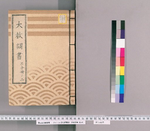 Great Amnesty Records [187] One-Third Volume 2 (Submission Regarding Previous Punishments for Those Affected by Amnesty for Shōgun's Appointment, Transfer, Concurrent Appointment, and Celebration with Precedent), Precedent