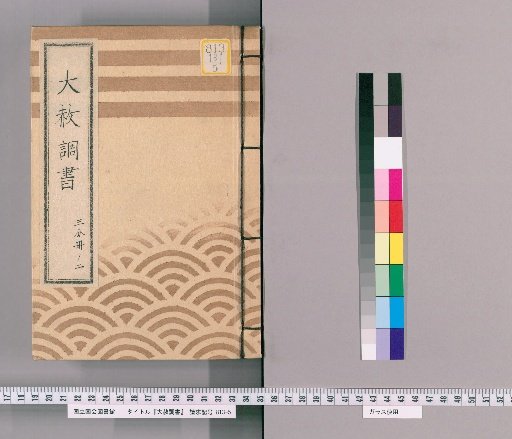Great Amnesty Records [193] One-Third Volume 2 (Submission Regarding Previous Punishments for Those Affected by Amnesty for Shōgun's Appointment, Transfer, Concurrent Appointment, and Celebration [9] with Precedent), Precedent