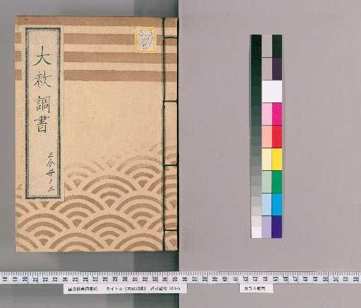 Great Amnesty Records [201] One-Third Volume 3 (Submission Regarding Previous Punishments for Retainers Affected by Amnesty for Shōgun's Appointment, Transfer, Concurrent Appointment, and Celebration with Precedent (Tenpō 8)), Precedent