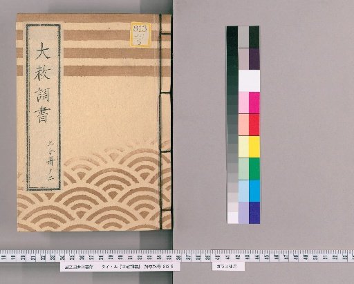 Record of General Pardons [203] Volume 2 of 3 Excerpts from the Tōei-san Pardon Register (Tenpō 10), Standard Form of the Imperial Pardon Register, Excerpts from the Tōei-san Pardon Register (Tenpō 10), Standard Forms for Two Names (Tenpō 10)