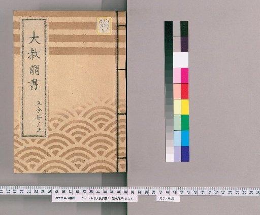 Record of General Pardons [209] Volume 5 of 5 Section on Relatives of the Ome-tsuke (Senior Inspector), Section on Submission, (Notification), Written Instructions Regarding Punishment for Gambling with Limits (Tenpō 12), Standard Form