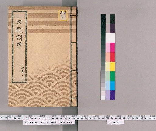 Record of General Pardons [218] Volume 1 of 3 Written Instructions for Those Previously Punished Regarding the Imperial Pardon for the Nikkō-san Pilgrimage Celebration, 1, Attached Standard Form (Tenpō 14)