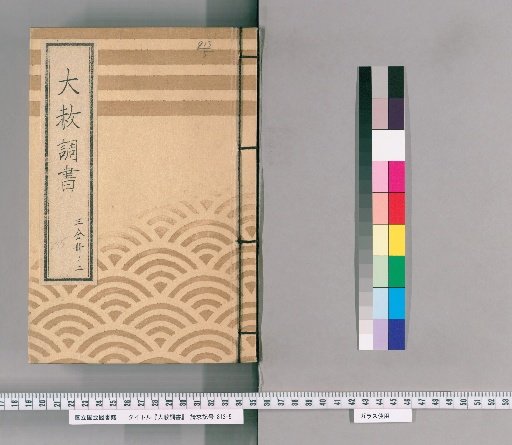 Record of General Pardons [237] Volume 2 of 3 (Excerpts from the Tōei-san Pardon Register (Kaei 3)), Standard Form, List of Names of Those Granted Exemption from the Pardon Register, List of Names of Those Granted Exemption from the Pardon Register Regarding the Request for Permission to Grant Exemption, Request for Excerpts from the Tōei-san Pardon Register, Written Instructions for Imperial Pardon Attendance (Kaei 3), Standard Form for Inquiry Regarding Gambling, Written Instructions for Inquiry Regarding Those Granted Exemption from the Pardon Register, Standard Form for Separate Register